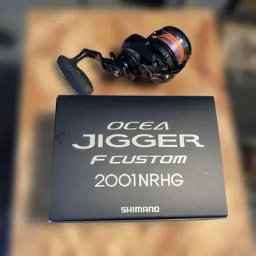 SHIMANO OCEA JIGGER F CUSTOM 2001NRHG