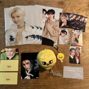 Straykids 스키즈 skzoo 필릭스 카드 포가리 키링