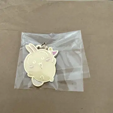 치이카와 파크 토끼 참