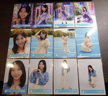 히나타자카 코니시 나츠나미 브로마이드 12종 컴플