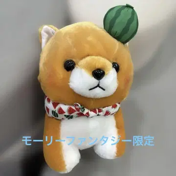 마루타마 콩 시바 삼형제 썸머 콩타로 JB 사이즈 택 포함 새상품
