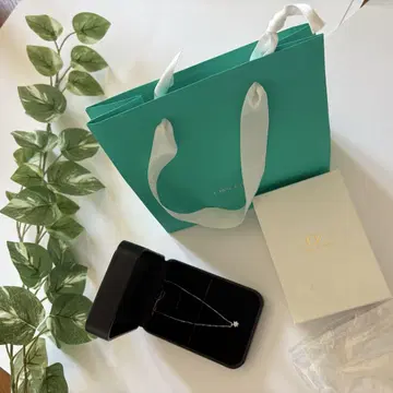 CRESCENT VERT 다이아몬드 플래티넘 목걸이