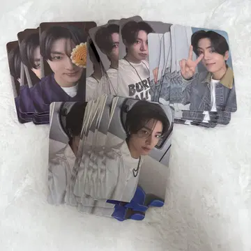 ENHYPEN SHOPEE kpopmerch 80매