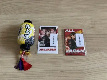 전일본 프로레슬링 이노우에 료 묶음 판매