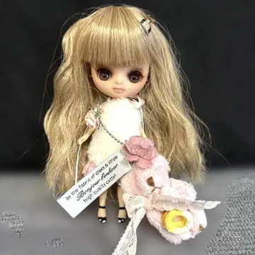 미니 브라이스 커스텀 커스텀 브라이스