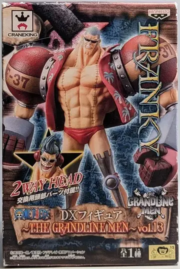 반프레스토 DXF THE GRANDLINE MEN vol.13 프랑키