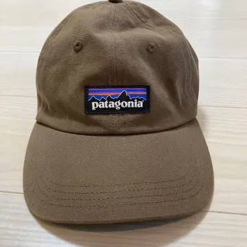 patagonia 브라운 캡