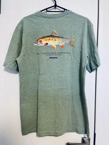 patagonia 단종 warldtrout 티셔츠 S 사이즈 파타고니아