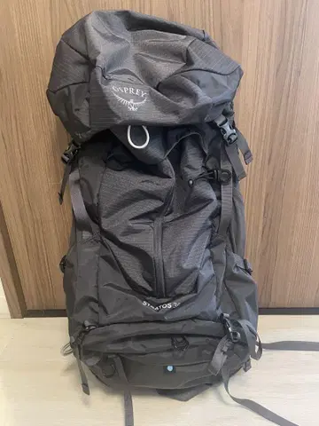 Osprey Stratos 36 백팩 그레이