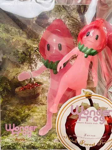 원더 프로그