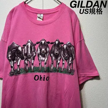 [ US 규격 ] 레어 길단 Ohio COW 프린트 티셔츠 핑크 XL