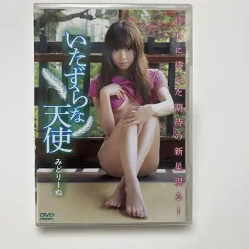 장난스러운 천사 DVD 미도리누