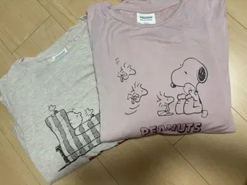 젤라또피케 2점