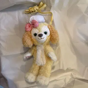 쿠키 앙 미니백