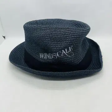 미사용 가면라이더w 윈드스케일 모자 햇 windscale
