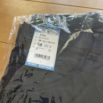 카고 팬츠