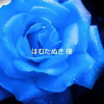 귀걸이 모음