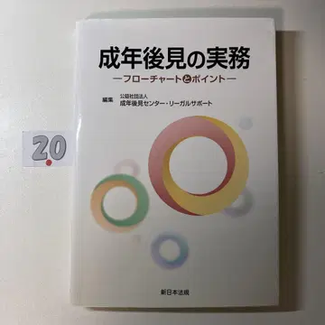 성년후견의 실무 흐름도와 포인트