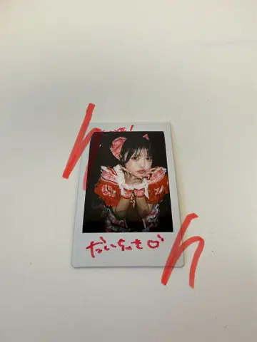 코코하루 리리 폴라로이드