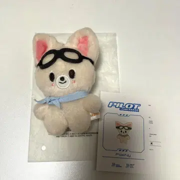skzoo 폭시니 PILOT 10cm 봉제 인형 스키즈 아이엔