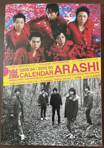 아라시 달력 2009.4-2010.3 홀로그램 씰 포함