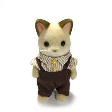 실바니아 크림 고양이 아빠