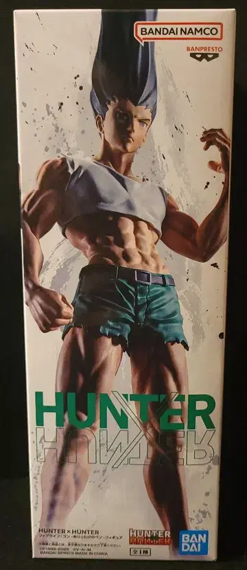 HUNTER x HUNTER 곤 피그라이프