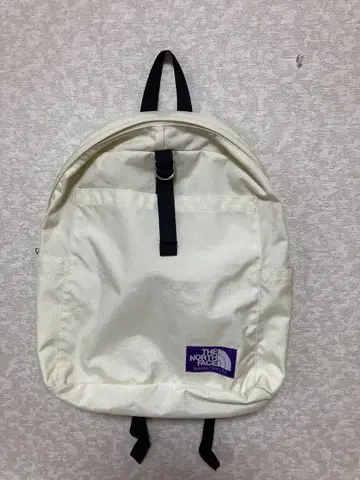 THE NORTH FACE 베이지 백팩