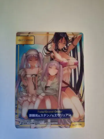 TYPE-MOON 페어 A.B-T.C 카드 특전 애니메이트 라이코 레어