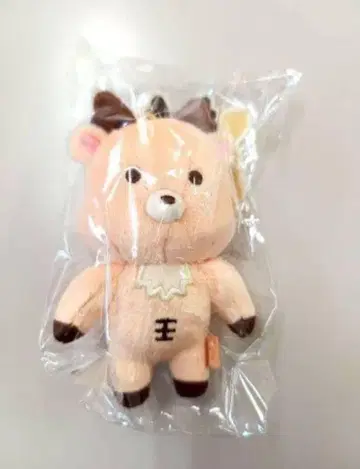RIIZE 성찬 봉제 인형