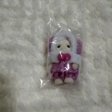 실바니아 토끼 핑크