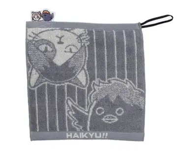 하이큐!! 팬파크 쓰레기장의 결전 자카드 미니 타월 히나타 켄마