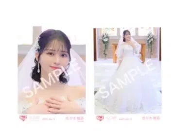 사사키 마이카 브로마이드 세미 컴프 요리히키