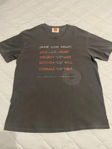 프랭크 로이드 라이트 티셔츠 페이드 그레이 size M
