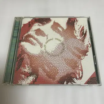 CD Todd Rundgren / Demos and Lost Album