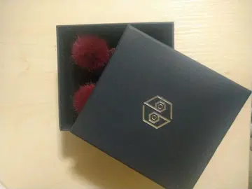 여왕벌 퐁퐁 귀걸이