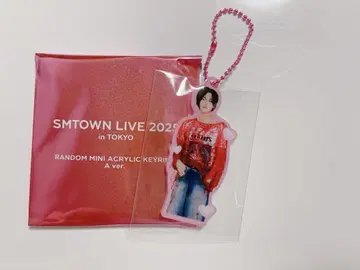 SMTOWN LIVE 2025 미니 아크릴 키링 원빈