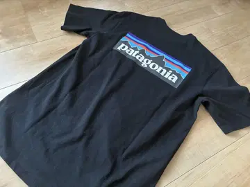 patagonia 블랙 T셔츠 northface