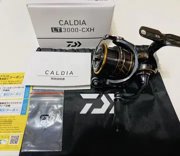다이와 21 칼디아 LT3000-CXH