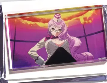 fgo 어둠의 코얀스카야 아크릴 블록