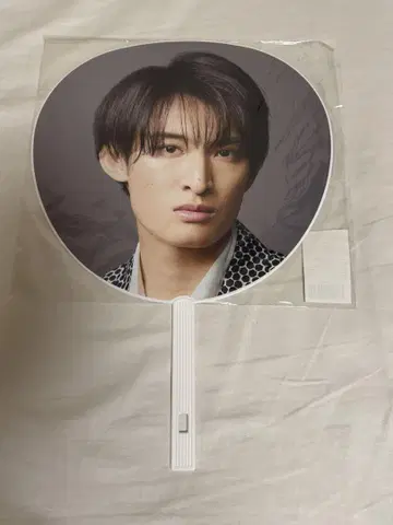 SnowMan 부채 iDOME 무카이 코지