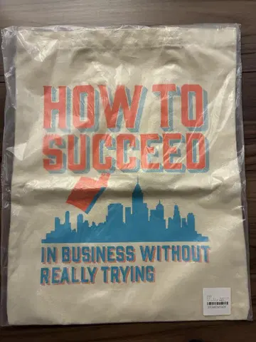 새상품 HOW TO SUCCEED 백