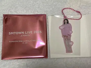 SMTOWN BOA 랜덤 미니 아크릴 키링