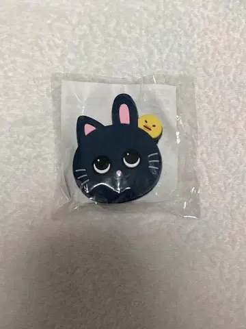RIIZE 원빈 부채 액세서리