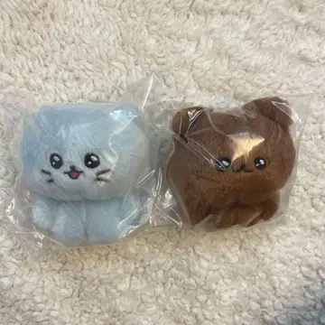 체고심 가챠