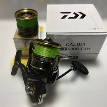 다이와 칼디아 LT4000-CXH 스피닝 릴 스풀