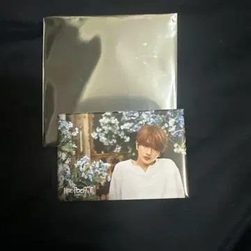 Nissy HOC POCA4E (호카포카페) 캔뱃지