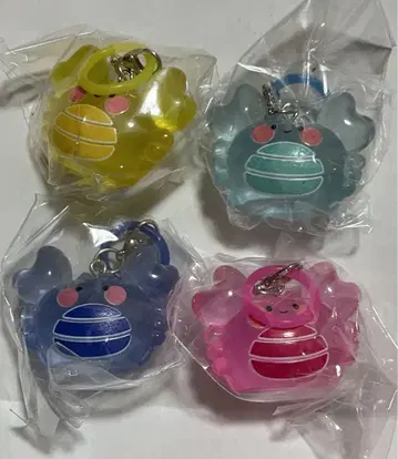 카니카니클럽 클리어 메지루시 참