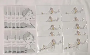 하이큐 크로니클 코모리 모토야