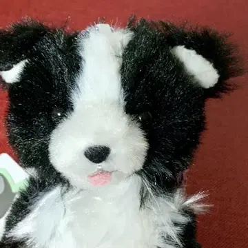 kuttari 늘어진 보더 콜리 봉제 인형 키링 혀 내민 네로